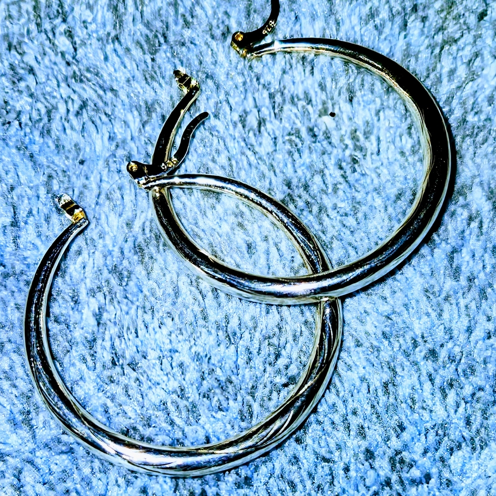 Chic Silver Hoop Earrings